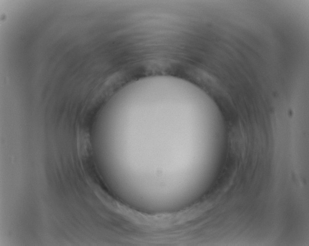 X0000074320038200609082018