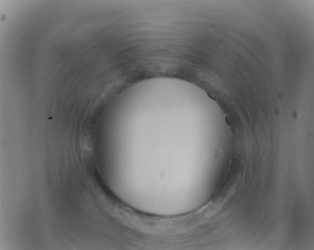 X0000074320040200609082018