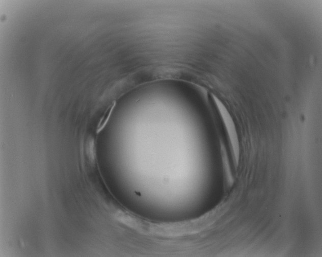 X0000074320041200609082018