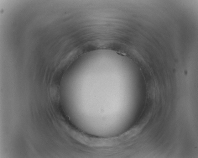 X0000074320044200609082018