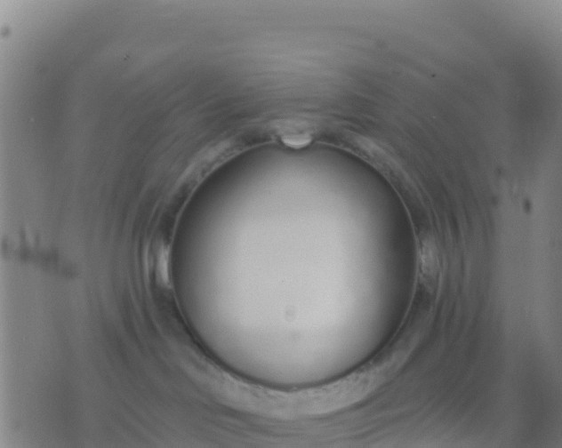 X0000074320046200609082018