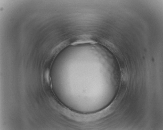 X0000074320047200609082018