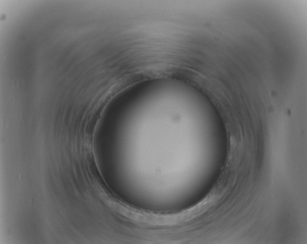 X0000074320048200609082018