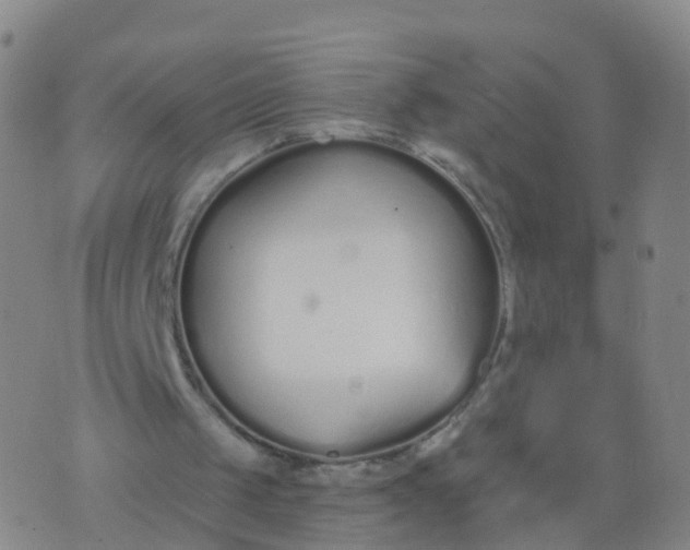 X0000074320049200609082017