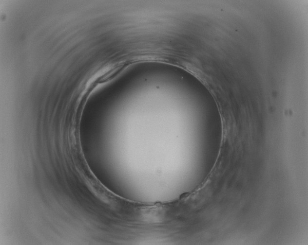 X0000074320050200609082017