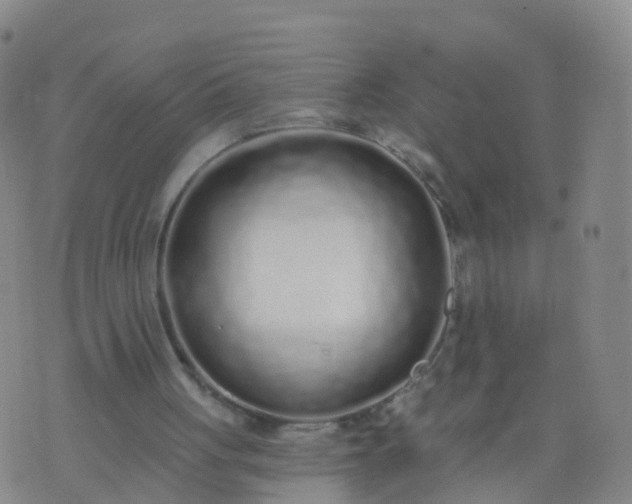 X0000074320051200609082017