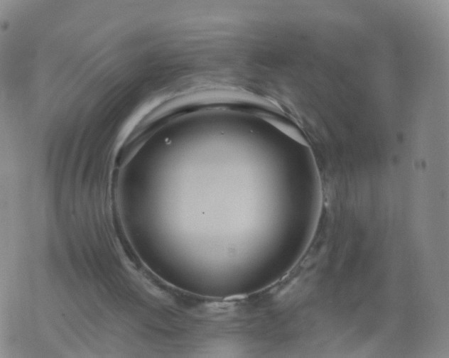 X0000074320052200609082017