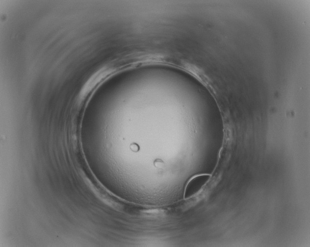 X0000074320053200609082017