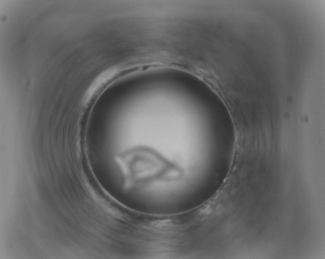 X0000074320054200609082017