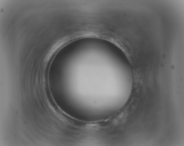 X0000074320055200609082017