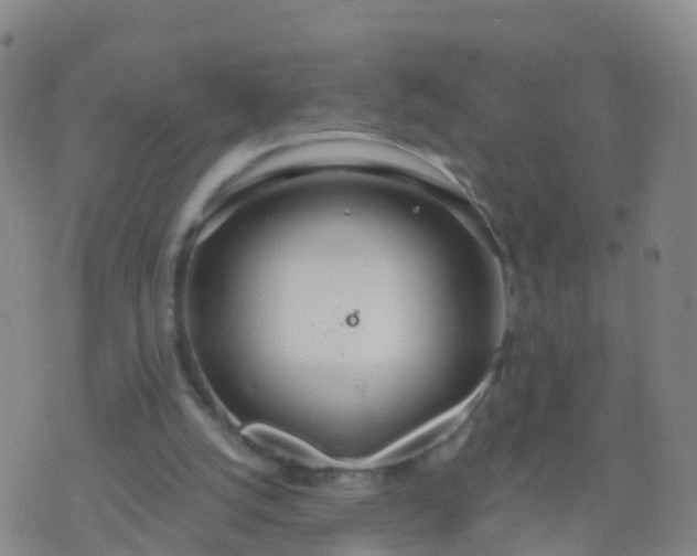 X0000074320056200609082017