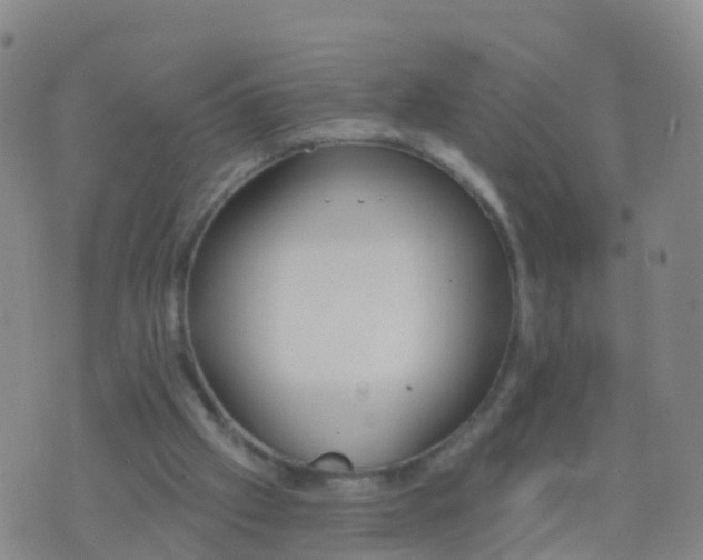 X0000074320057200609082017