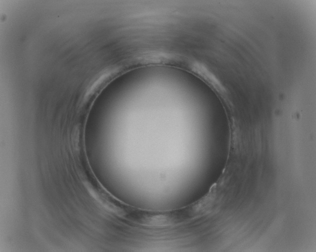 X0000074320058200609082017