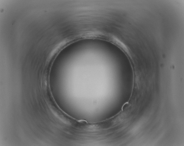 X0000074320059200609082017