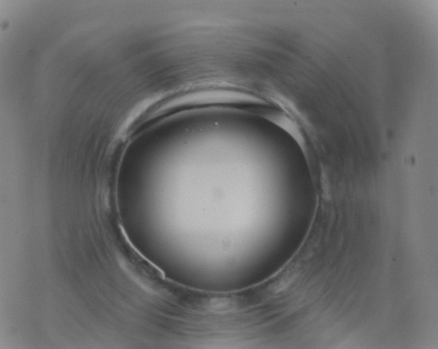 X0000074320060200609082017