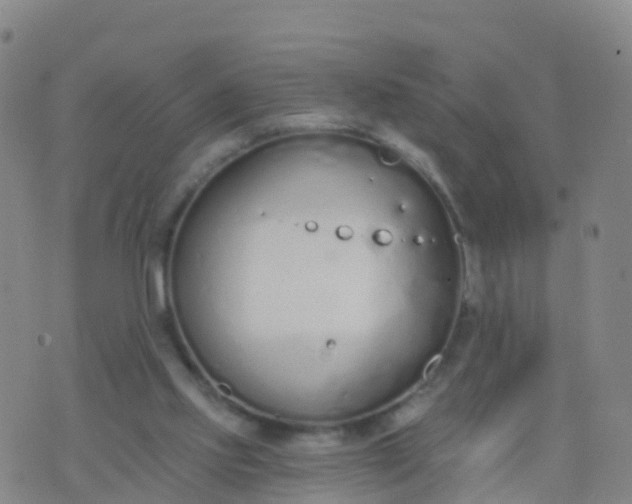 X0000074320061200609082017