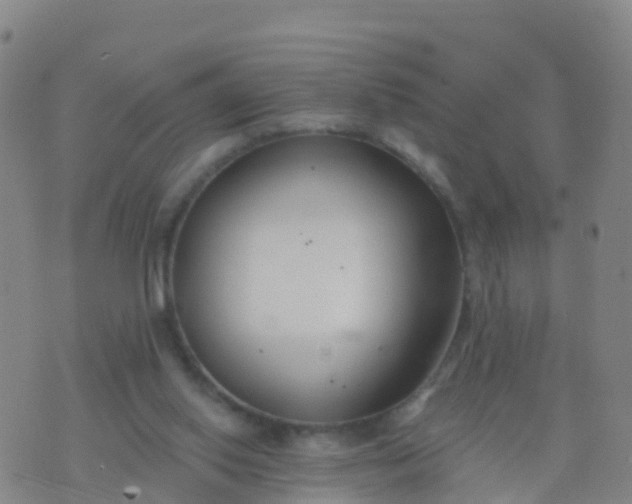 X0000074320062200609082017