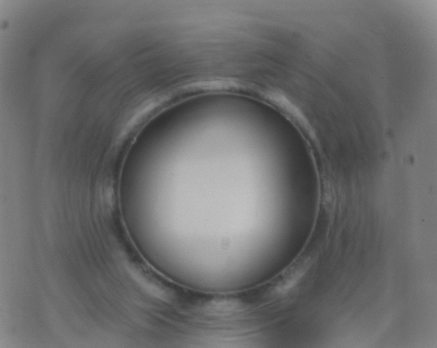 X0000074320063200609082017