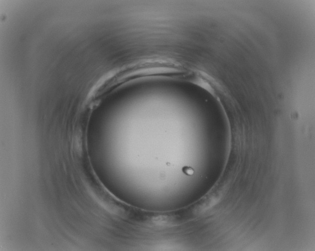 X0000074320064200609082017