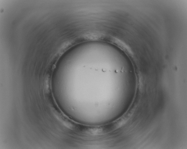 X0000074320065200609082017