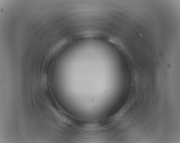 X0000074320066200609082017