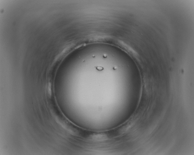 X0000074320067200609082017