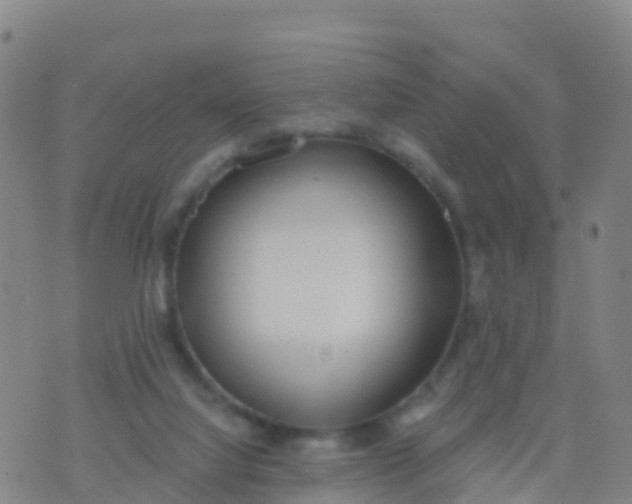 X0000074320068200609082017