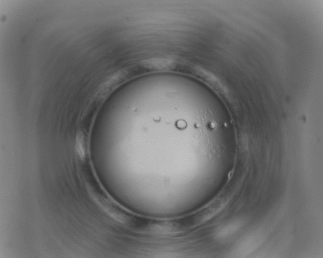 X0000074320069200609082017