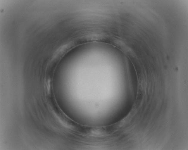 X0000074320070200609082017