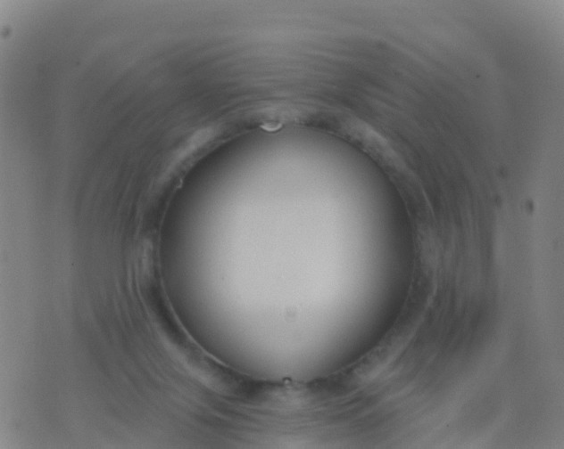 X0000074320071200609082017