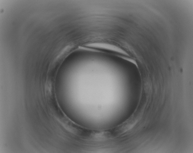 X0000074320072200609082017