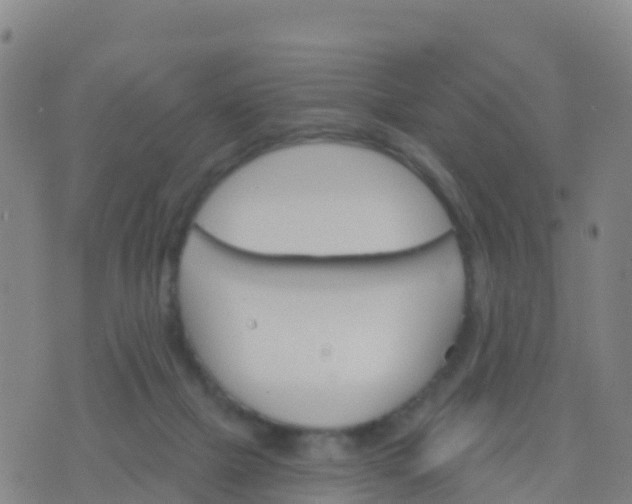 X0000074320073200609082017