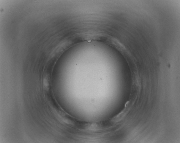 X0000074320074200609082018