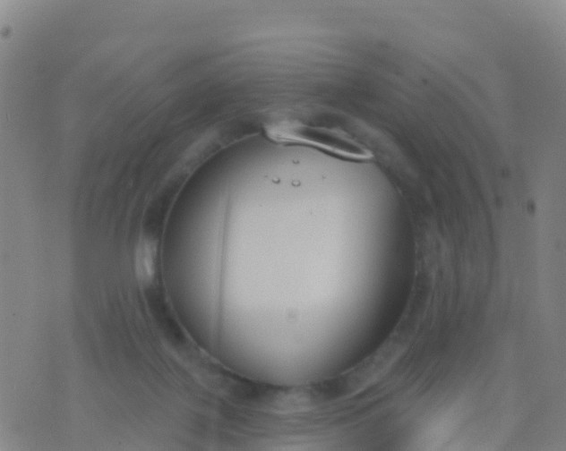 X0000074320075200609082018