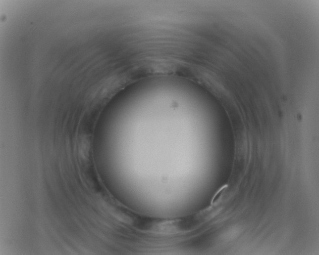 X0000074320078200609082018