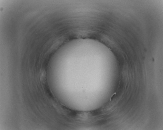 X0000074320079200609082018