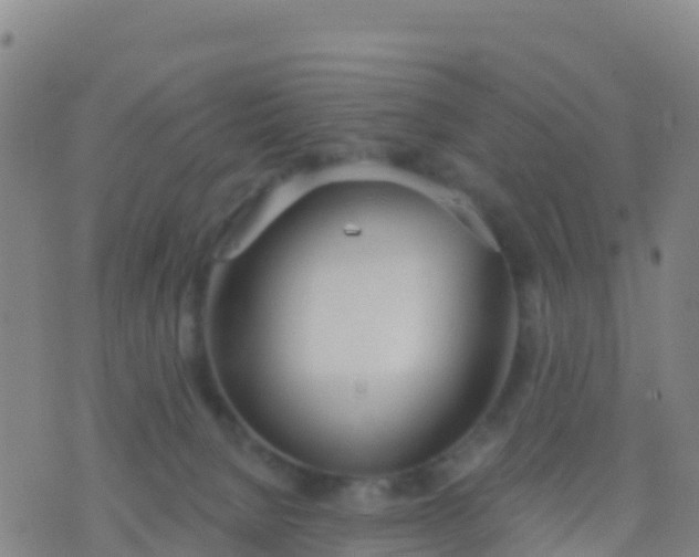 X0000074320080200609082018