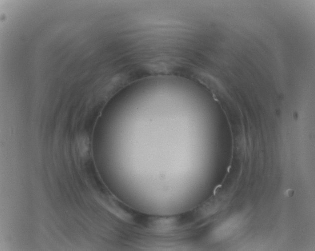 X0000074320081200609082018