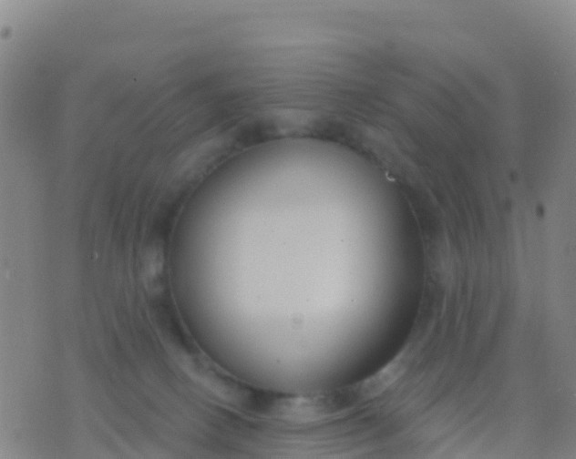 X0000074320082200609082018