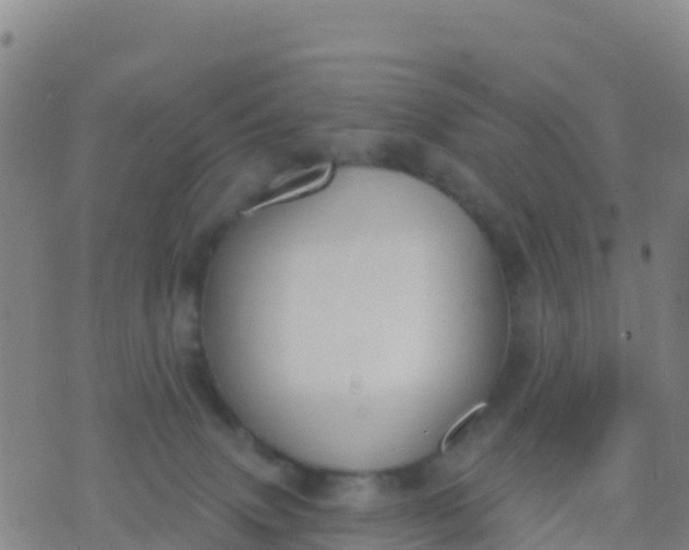 X0000074320083200609082018