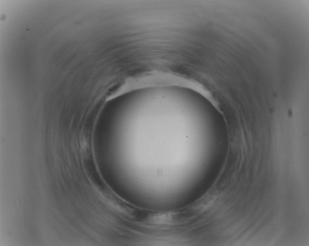 X0000074320084200609082018