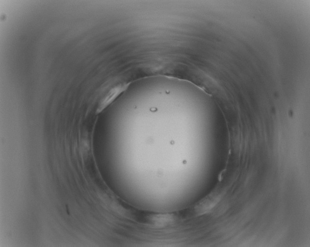 X0000074320085200609082018