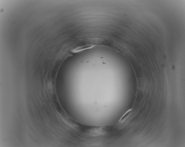 X0000074320086200609082018