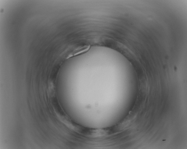 X0000074320087200609082018