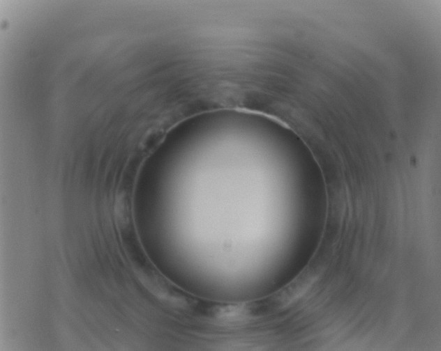 X0000074320088200609082018