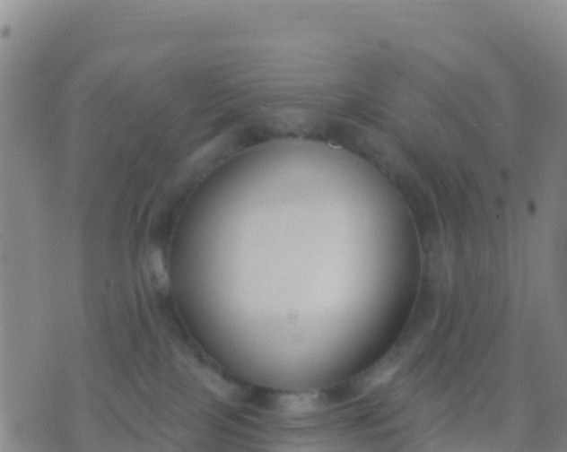 X0000074320089200609082018