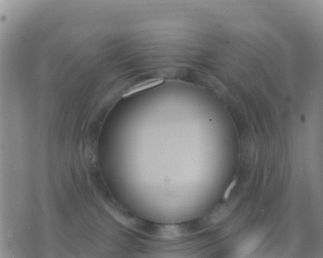 X0000074320091200609082018