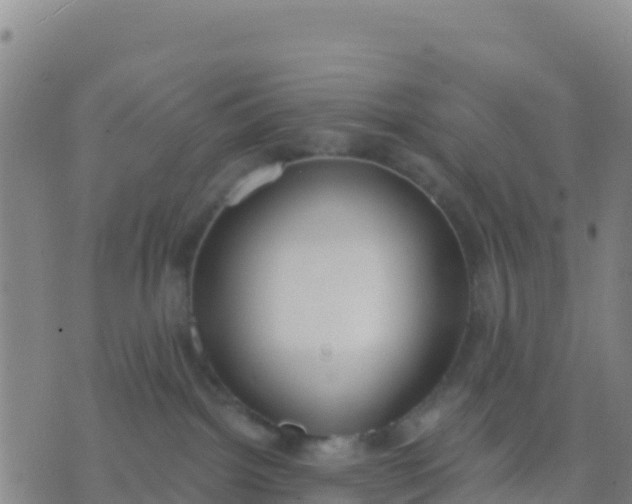 X0000074320092200609082018