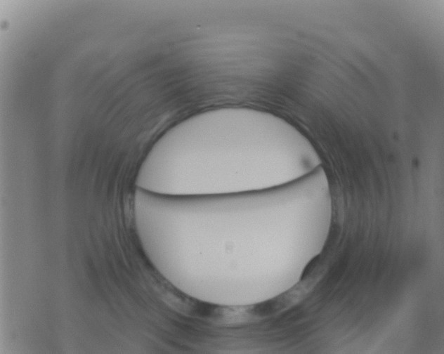 X0000074320093200609082018