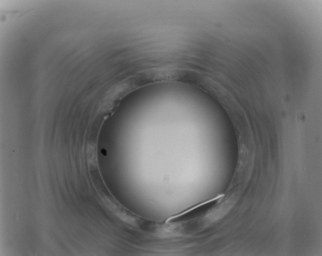 X0000074320096200609082018